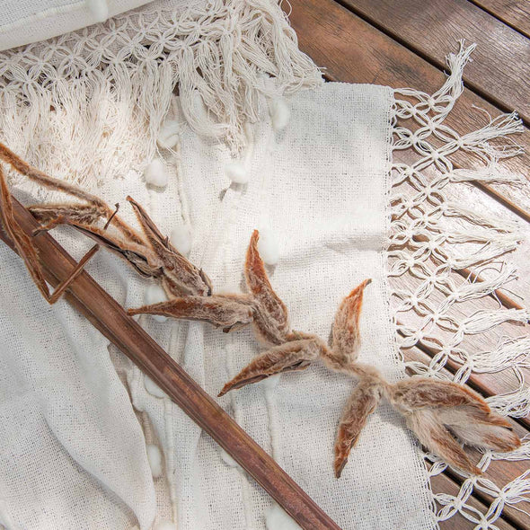 Dedicada Throw - Natural
